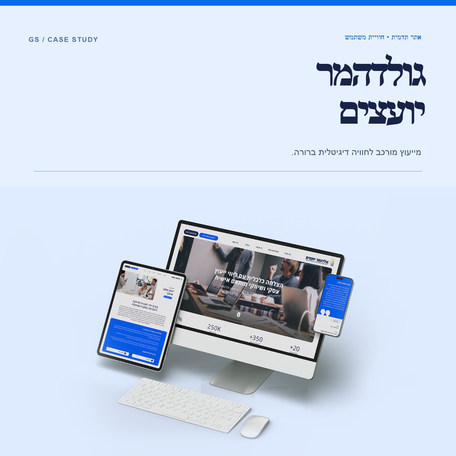 גולדהמר יועצים