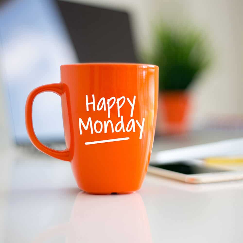 עיצוב דף נחיתה Monday