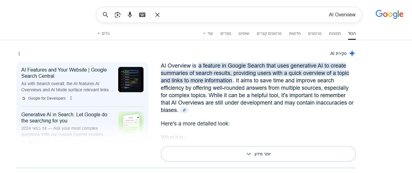 AI Overview