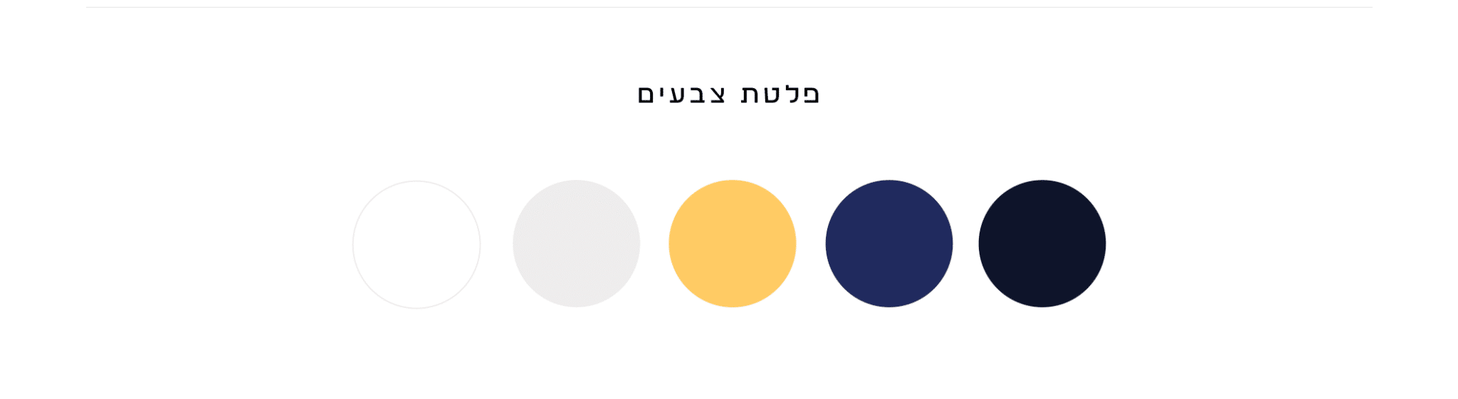 מערכת הצבעים של המותג