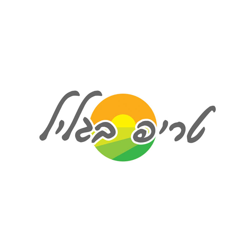 לוגו שעיצבנו עבור ורים בגליל